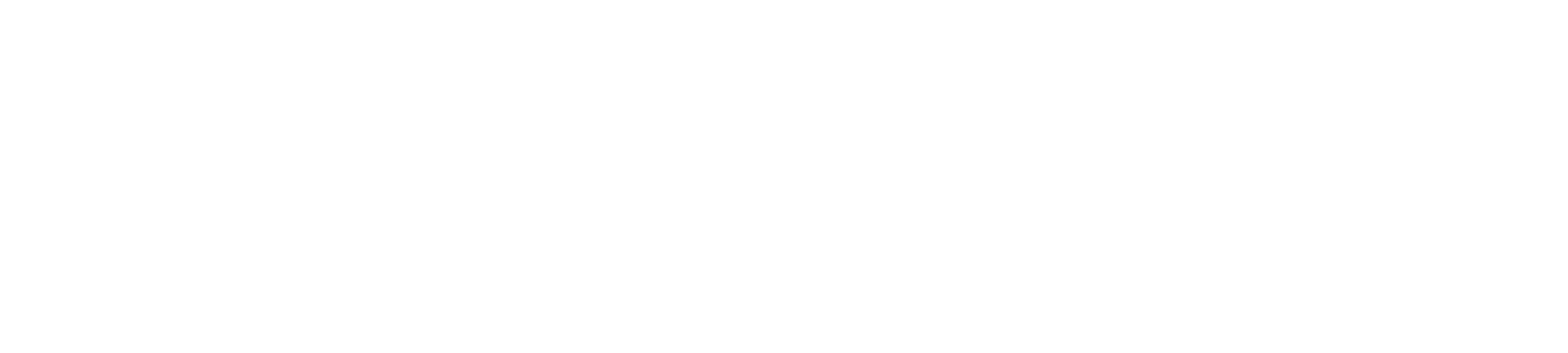 WF Career International Consultancy